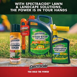 Spectracide Terminate Termite & Carpenter Ant Killer, Localized Control Termite Spray, Kills Wood-Destroying Insects , 1.33 Gallon (RTU Spray)