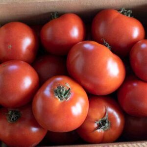 david’s garden seeds tomato slicing indeterminate wisconsin (red) 25 non-gmo, heirloom seeds