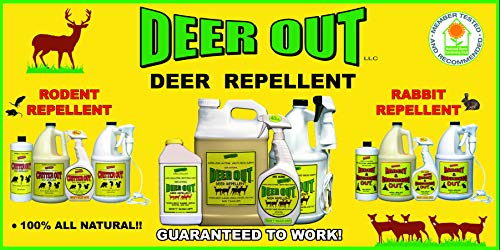 Deer Repellent :Deer Out 1 Gallon Concentrate Makes 10 Gallons