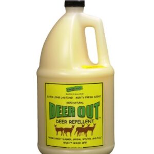 Deer Repellent :Deer Out 1 Gallon Concentrate Makes 10 Gallons