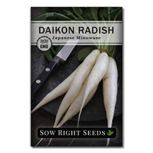 sow right seeds – japanese minowase daikon radish seed for planting – non-gmo heirloom packet with instructions to plant a home vegetable garden – great gardening gift (1)