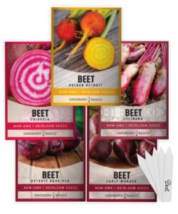 beet seeds for planting home garden – 5 variety pack detroit dark red, golden detroit, early wonder, cylindria and chioggia great for spring, summer, fall, heirloom veggie seeds by gardeners basics