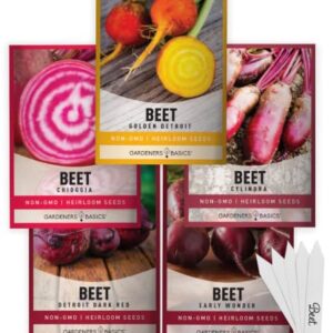 Beet Seeds for Planting Home Garden - 5 Variety Pack Detroit Dark Red, Golden Detroit, Early Wonder, Cylindria and Chioggia Great for Spring, Summer, Fall, Heirloom Veggie Seeds by Gardeners Basics