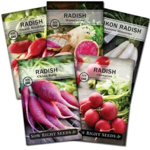 Sow Right Seeds - Radish Seed Collection for Planting - Champion, Watermelon, French Breakfast, China Rose, and Minowase (Diakon) Varieties - Non-GMO Heirloom Seed to Plant a Home Vegetable Garden