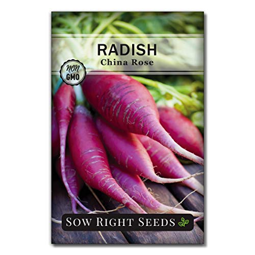 Sow Right Seeds - Radish Seed Collection for Planting - Champion, Watermelon, French Breakfast, China Rose, and Minowase (Diakon) Varieties - Non-GMO Heirloom Seed to Plant a Home Vegetable Garden