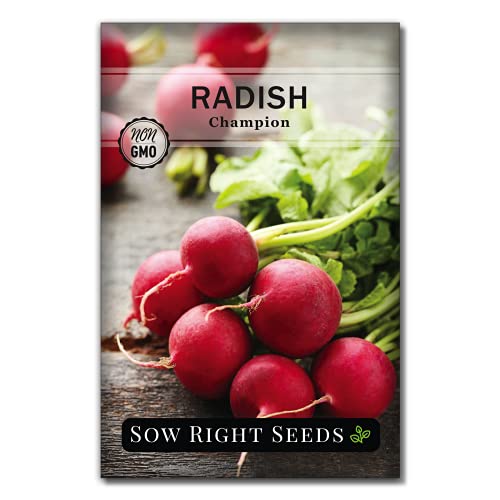 Sow Right Seeds - Radish Seed Collection for Planting - Champion, Watermelon, French Breakfast, China Rose, and Minowase (Diakon) Varieties - Non-GMO Heirloom Seed to Plant a Home Vegetable Garden