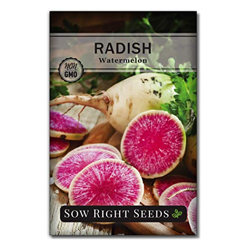 Sow Right Seeds - Radish Seed Collection for Planting - Champion, Watermelon, French Breakfast, China Rose, and Minowase (Diakon) Varieties - Non-GMO Heirloom Seed to Plant a Home Vegetable Garden