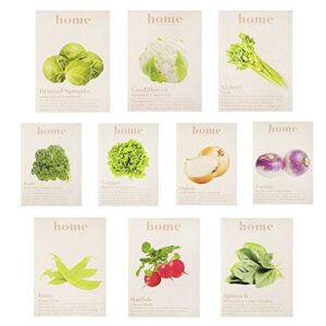home botanicals | cold weather seed variety pack – brussel sprouts, cauliflower, celery, kale, lettuce, onion, turnip, peas, radish, spinach – organic vegetable plant garden starter, set of 10