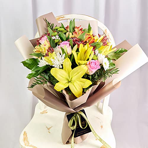 QAUZUY GARDEN 25 Mixed Peruvian Lily (Lily of The Incas/Princess Lily) Alstroemeria Seeds Perennial Delicate Flowers for Bouquets Flower Arrangements Attract Pollinators