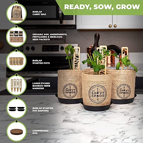 Herb Garden Kit Indoor - Non GMO, Heirloom Herb Seeds - Cilantro, Oregano, Parsley and Basil Seeds for Planting - Gardening Gifts - Made in USA (Herb Garden Kit Indoor)