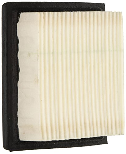 Tecumseh 36046 Air Filter