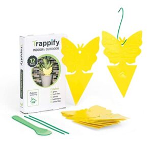 trappify sticky gnat traps for house indoor – yellow fruit fly traps for indoors/outdoor plant – insect catcher white flies, mosquitos, fungus gnat trap, flying insects – disposable glue trapper (12)