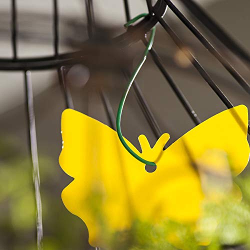 Trappify Sticky Gnat Traps for House Indoor - Yellow Fruit Fly Traps for Indoors/Outdoor Plant - Insect Catcher White Flies, Mosquitos, Fungus Gnat Trap, Flying Insects - Disposable Glue Trapper (12)