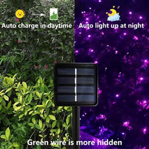 Curyidy Solar String Lights Purple Halloween Decor, 2 Pack 200 LED Solar String Lights Outdoor Waterproof 72ft 8 Modes Fairy Lights for Patio, Yard, Garden, Pathway, Xmas Tree Decor -72ft