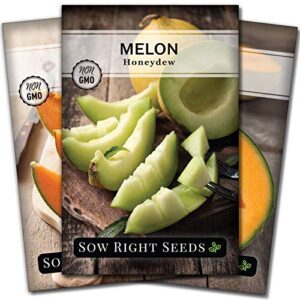 sow right seeds – cantaloupe fruit seed collection for planting – individual packets honey rock, hales best and honeydew melon, non-gmo heirloom seeds to plant an outdoor home vegetable garden