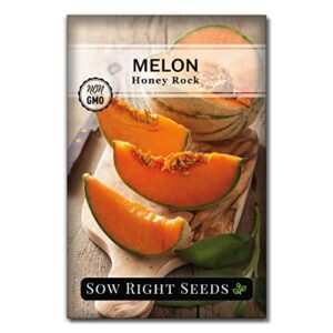 Sow Right Seeds - Cantaloupe Fruit Seed Collection for Planting - Individual Packets Honey Rock, Hales Best and Honeydew Melon, Non-GMO Heirloom Seeds to Plant an Outdoor Home Vegetable Garden