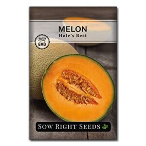 Sow Right Seeds - Cantaloupe Fruit Seed Collection for Planting - Individual Packets Honey Rock, Hales Best and Honeydew Melon, Non-GMO Heirloom Seeds to Plant an Outdoor Home Vegetable Garden