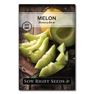 Sow Right Seeds - Cantaloupe Fruit Seed Collection for Planting - Individual Packets Honey Rock, Hales Best and Honeydew Melon, Non-GMO Heirloom Seeds to Plant an Outdoor Home Vegetable Garden