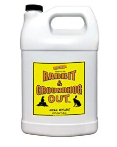rabbit & groundhog repellent: rabbit out 1 gallon ready-to-use- refill * no sprayer included *
