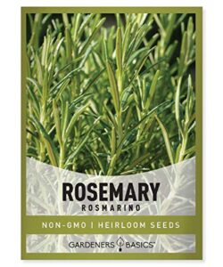 rosemary seeds for planting – it is a great heirloom, non-gmo herb variety- great for indoor and outdoor gardening by gardeners basics