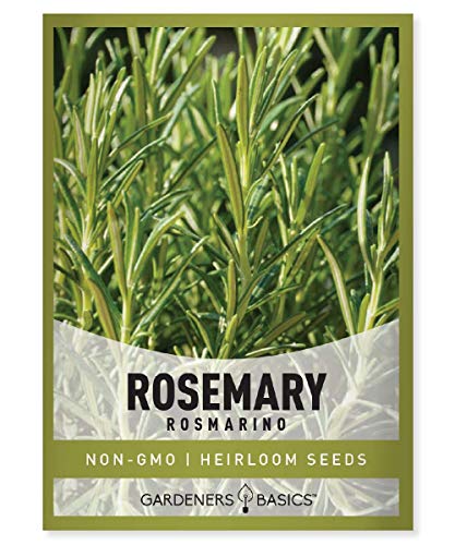 Rosemary Seeds for Planting - It is A Great Heirloom, Non-GMO Herb Variety- Great for Indoor and Outdoor Gardening by Gardeners Basics