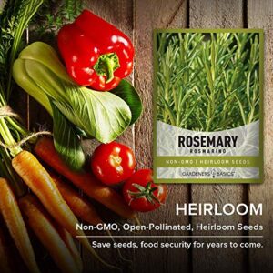 Rosemary Seeds for Planting - It is A Great Heirloom, Non-GMO Herb Variety- Great for Indoor and Outdoor Gardening by Gardeners Basics