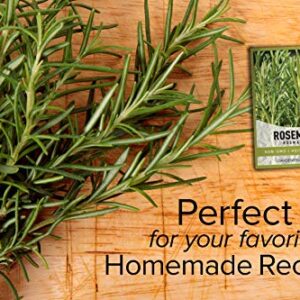 Rosemary Seeds for Planting - It is A Great Heirloom, Non-GMO Herb Variety- Great for Indoor and Outdoor Gardening by Gardeners Basics