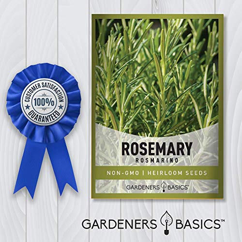 Rosemary Seeds for Planting - It is A Great Heirloom, Non-GMO Herb Variety- Great for Indoor and Outdoor Gardening by Gardeners Basics