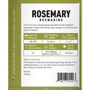 Rosemary Seeds for Planting - It is A Great Heirloom, Non-GMO Herb Variety- Great for Indoor and Outdoor Gardening by Gardeners Basics