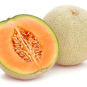 Imperial 45 Cantaloupe Seeds, 50+ Heirloom Seeds Per Packet, (Isla's Garden Seeds), Botanical Name: Cucumis melo VAR. cantalupensis, Non GMO Seeds