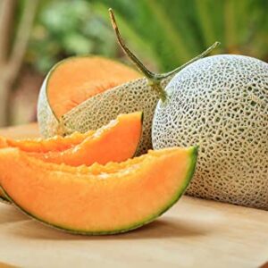 Imperial 45 Cantaloupe Seeds, 50+ Heirloom Seeds Per Packet, (Isla's Garden Seeds), Botanical Name: Cucumis melo VAR. cantalupensis, Non GMO Seeds