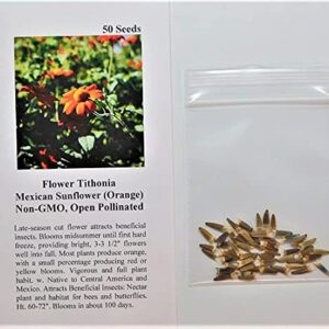 David's Garden Seeds Sunflower Dwarf Branching Stem Mexican Tithonia FBA-0089 (Orange) 50 Non-GMO, Heirloom Seeds