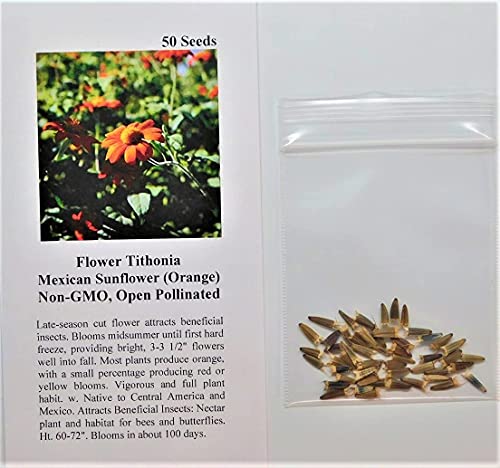 David's Garden Seeds Sunflower Dwarf Branching Stem Mexican Tithonia FBA-0089 (Orange) 50 Non-GMO, Heirloom Seeds