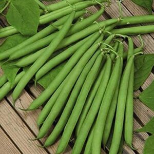 david’s garden seeds bean bush harvester fba-7484 (green) 100 non-gmo, heirloom seeds
