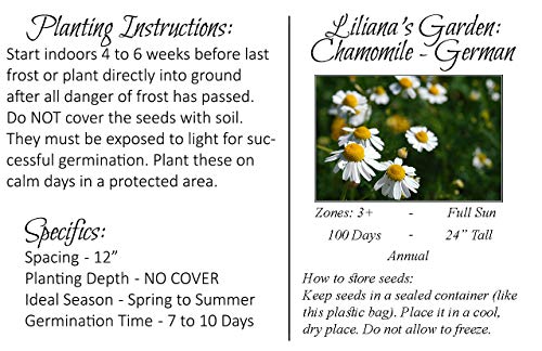 Herb Seeds - German Chamomile - Medicinal, Flowering, and Edible - Liliana's Garden