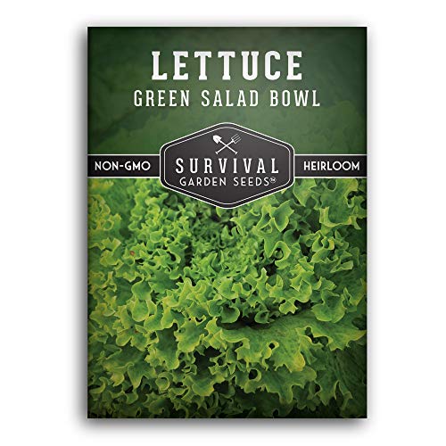 Survival Garden Seeds - Green Salad Bowl Lettuce Seed for Planting - Packet with Instructions to Plant and Grow in Your Home Vegetable Garden - Non-GMO Heirloom Variety