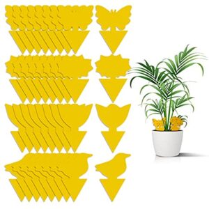 36 pack fungus gnat traps for house plants, yellow sticky traps for indoor outdoor use to get rid of whitefly mosquitoes fungus gnats thrips leafminer flying insects protect your plants