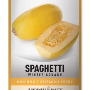 Spaghetti Squash Seeds for Planting - Winter Squash Heirloom, Non-GMO Vegetable Squash Variety- 3 Grams Seeds Great for Summer Garden by Gardeners Basics