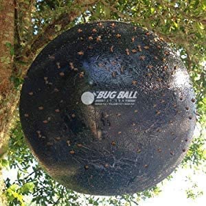 Bug Ball 2 Pack Starter Kit Complete- Odorless Eco-Friendly Biting Fly and Insect Killer with NO Pesticides or Electricity Needed, Kid and Pet Safe