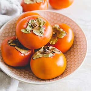 QAUZUY GARDEN 5 Seeds Persimmon Seeds Diospyros virginiana Fruit Tree Seeds Perennial- Non-GMO Seeds- Easy to Grow- Grow Your Own Delicious Persimmon Tree