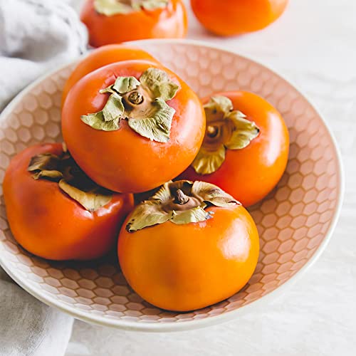 QAUZUY GARDEN 5 Seeds Persimmon Seeds Diospyros virginiana Fruit Tree Seeds Perennial- Non-GMO Seeds- Easy to Grow- Grow Your Own Delicious Persimmon Tree