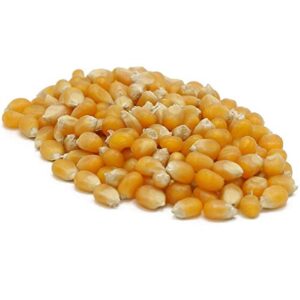 yellow popcorn seed for growing heirloom op open pollinated non-gmo garden seed 50 seeds by country creek acres