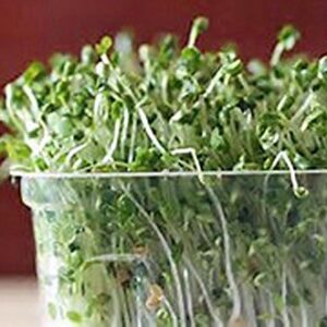 Garden Trio Sprouting Mix Seeds, 1/2 Pound/ 8 Ounces , "COOL BEANS n SPROUTS" Brand, This is a Mix of Broccoli, Radish and Alfalfa Seeds.