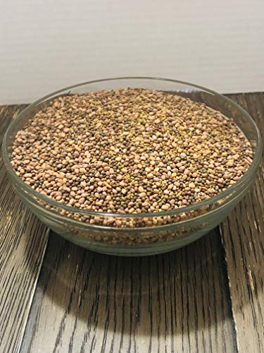 Garden Trio Sprouting Mix Seeds, 1/2 Pound/ 8 Ounces , "COOL BEANS n SPROUTS" Brand, This is a Mix of Broccoli, Radish and Alfalfa Seeds.