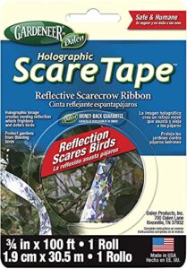 dalen holographic scare reflective tape – bird deterrent tape with metallic noise feature, broad application and easy to use bird scare ribbon (3/4″ x 100′) – 1 roll