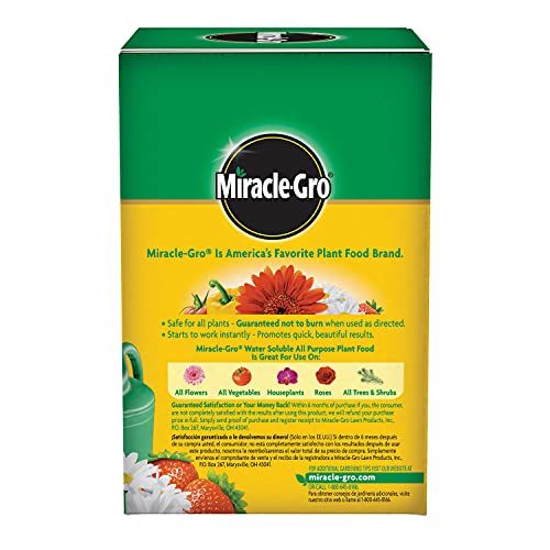 Miracle-Gro 2001123 All Purpose Plant Food Plant Fertilizer (6 Pack), 1.5 lb