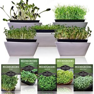 survival garden seeds microgreens 5 pack – instructions to plant, sprout, and grow a mix of microgreen plants in your kitchen or on your windowsill – arugula, broccoli, radish, pea, sunflower seed