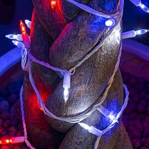 Dazzle Bright 200 LED Red White and Blue Mini String Lights, 66 FT Waterproof 4th of July String Lights, Independence Day Decorations for Indoor Outdoor Party Yard Garden