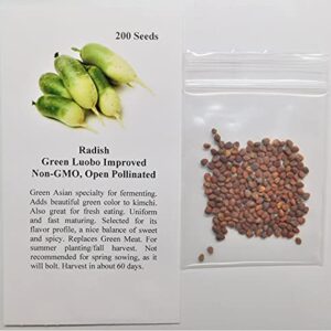 David's Garden Seeds Radish Green Luobo Improved 5453 (Green) 200 Non-GMO, Heirloom Seeds