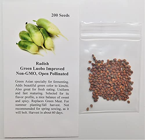 David's Garden Seeds Radish Green Luobo Improved 5453 (Green) 200 Non-GMO, Heirloom Seeds